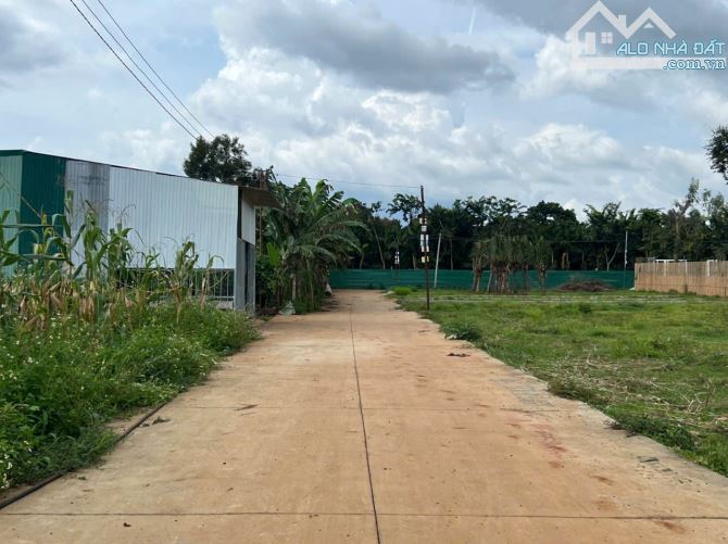 ❌❌ Bán đất tặng nhà Eatu Thổ cư 100% - Phường Tân An rẻ hơn lô đất