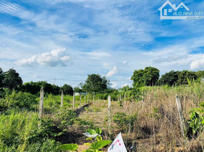 Chủ ngộp bán nhanh lô đất KCN Tây Bắc 751m2 giá chỉ 1ty250, SHR