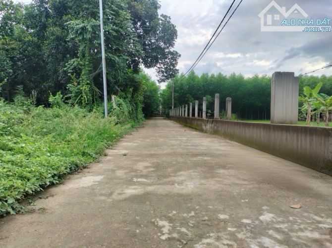 🔥 CHÀO BÁN LÔ ĐẤT ĐẸP – GIÁ CHỈ 1 TỶ X Đường ô tô thông thoáng – Xã Bà Nà, Hòa Nhon