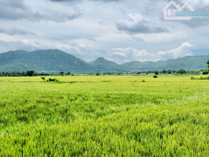 VIEW SIÊU ĐẸP-MẶT TIỀN 34m-KHU ĐỒNG GIÓ HỒ SỞ BÔNG-Dt:485m2-34mx31m-95 thổ cư-sổ sẵn-2ty5