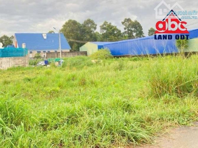 CC004 BÁN ĐẤT MẶT TIỀN ĐƯỜNG LỚN – BÌNH MINH, TRẢNG BOM  📍 Vị trí: Xã Bình Minh, Trảng Bo