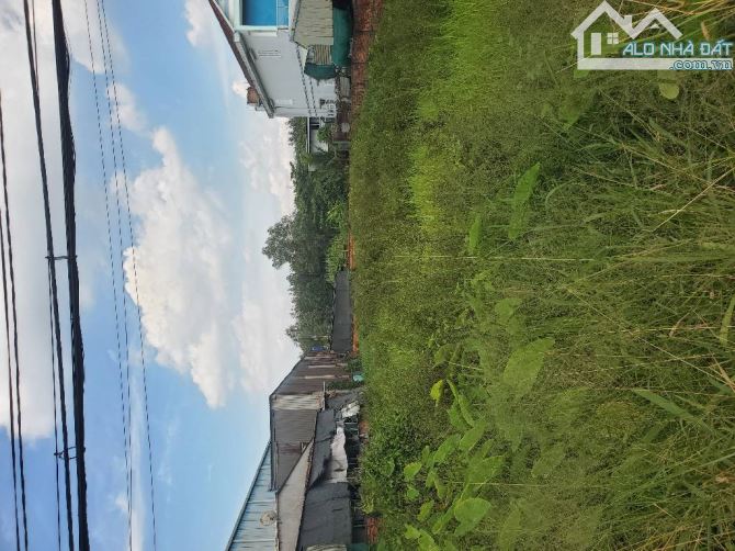 Bán 1000m đất Xuân tHới Sơn, Hóc Môn, hơn 10 tỷ