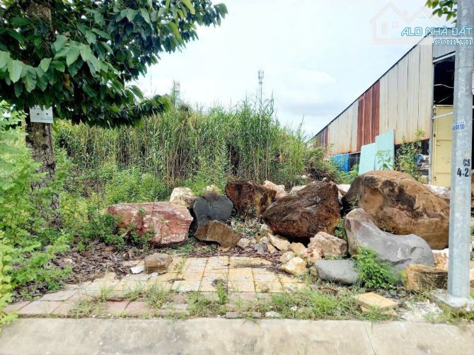 Bán nền đường A1 KDC Tân Phú, P. Hưng Phú, TP Cần Thơ.