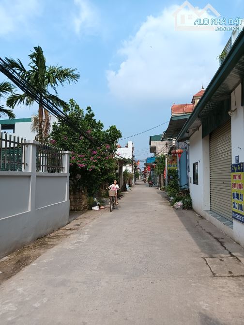 42, hàng hiếm rẻ đẹp tiềm năng 👉 tự nhiên -thường tín