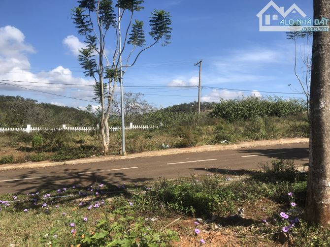 Chính chủ bán đất biệt thự 2MT khu Richland Măng Lin Đà Lạt