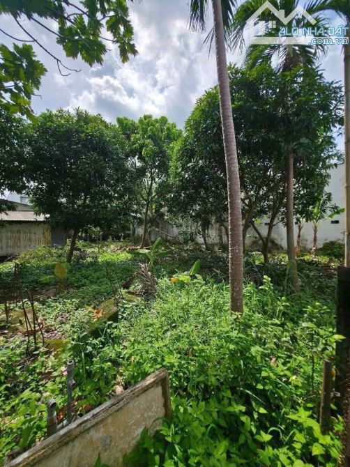 💥 Đất Bình Nhâm ngang 10 – 240m² – Gần Nguyễn Chí Thanh – Giá 5,2 Tỷ 💥