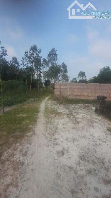 Nóng: Đất phú lương, phú vang chủ cần bán 120m giá 330tr có thương lượng