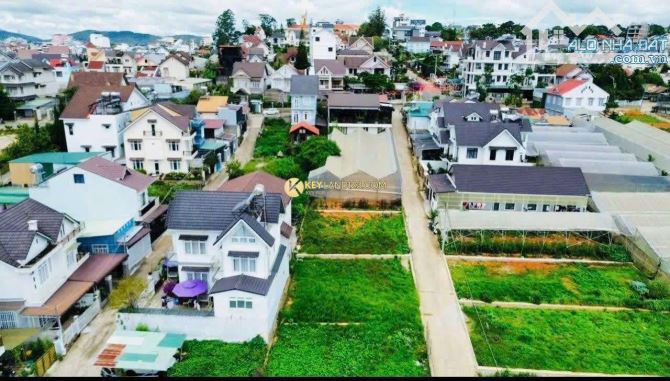 ĐẤT HẺM Ô TÔ LỚN – SỔ RIÊNG – VẠN HẠNH, P.8, ĐÀ LẠT - 1