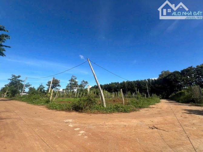 BÁN LÔ ĐẤT THUỘC HẺM CẤP 1 VÀNH ĐAI 14-28 GẦN UỶ BAN PHƯỜNG TÂN AN - 1