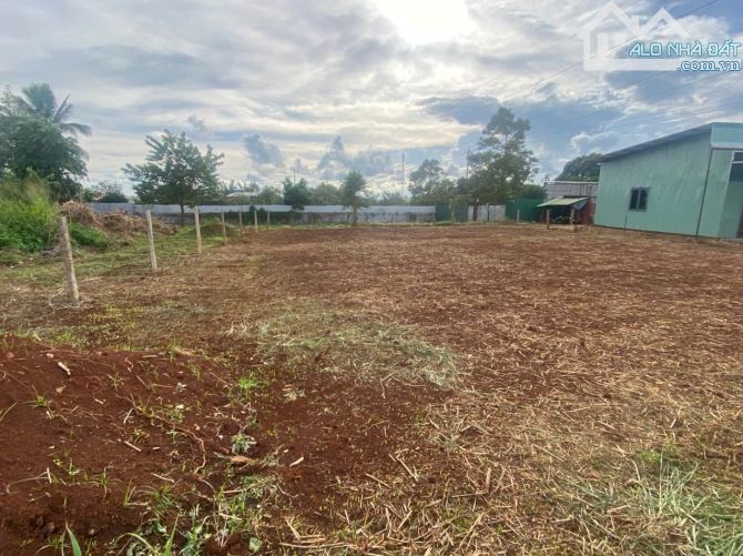 Cần Bán Lô Đất Hẻm Cấp 1 Mai Thị Lựu Phường Ea Tam BMT - 1