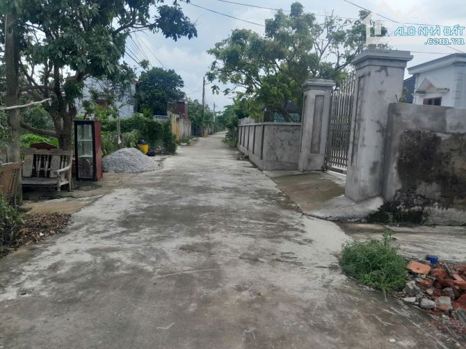 Lô góc Cốc Liễn, Minh Tân, Kiến Thụy đường thông - 1