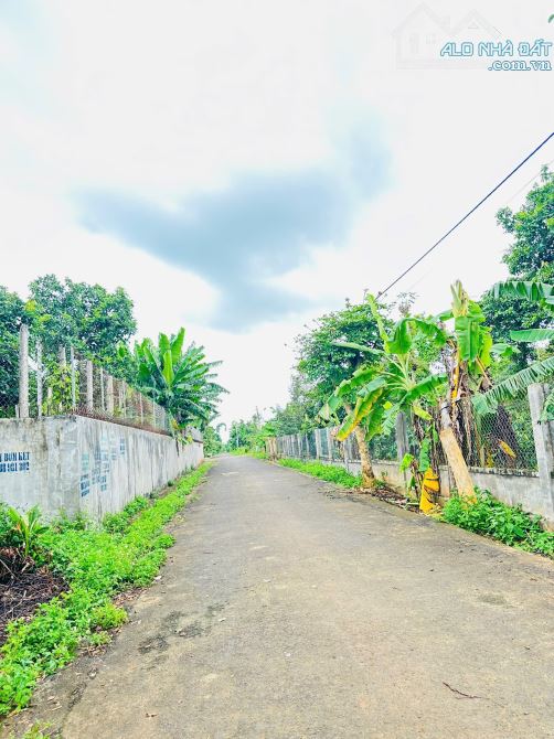 Bán đất phường ekao ,giá cực tốt - 1