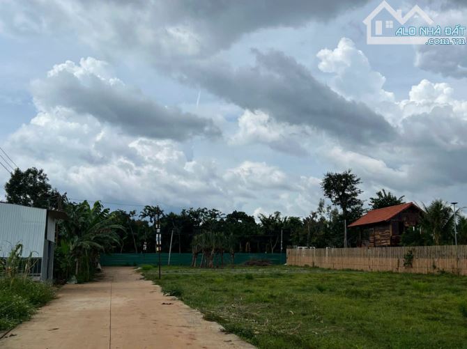 ❌❌ Bán đất tặng nhà Eatu Thổ cư 100% - Phường Tân An rẻ hơn lô đất - 1
