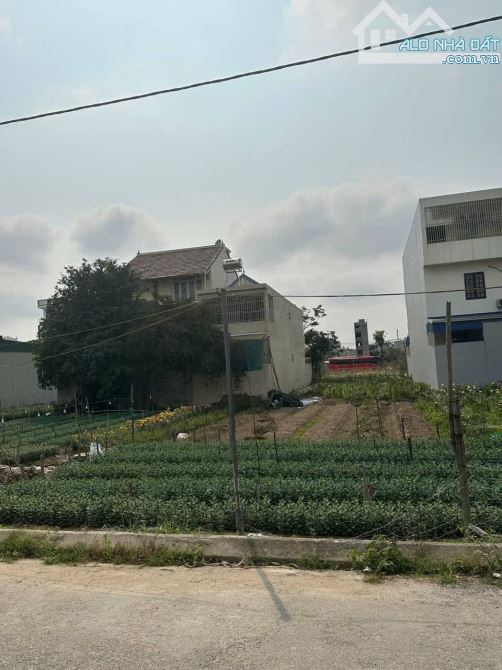 🏜4,7ty Bán lô đất tại Lũng đông, nam hải, hải an  lô đất tại tđc đồng rứa,  Lũng đông, - 1