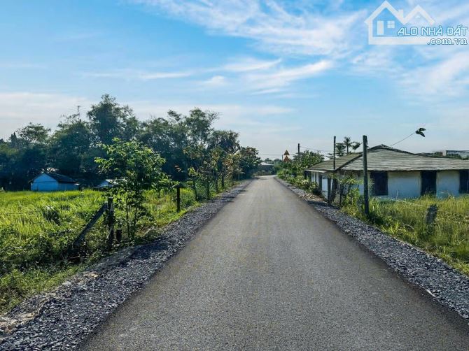 Cần bán gấp lô đất 100m2 giá 650 triệu đường Lê Thị Vui, Phước Hiệp, Củ Chi - 1