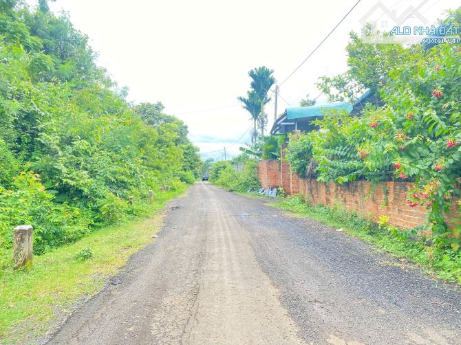 🌈🌈Đất Tân Hưng, Phường EAKAO  cách trục chính Y Wang hơn 200m - 1