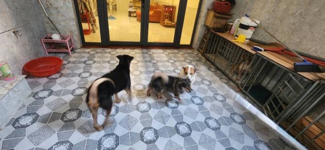 🔥BÁN GẤP NHÀ 4 TẦNG BTCT - 50m ra MT HUỲNH TẤN PHÁT - 80m2 - SHR - 1