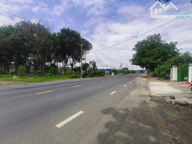 💥BÁN ĐẤT MẶT TIỀN QUỐC LỘ 55 XÃ SÔNG PHAN - HÀM TÂN - BÌNH THUẬN - 1