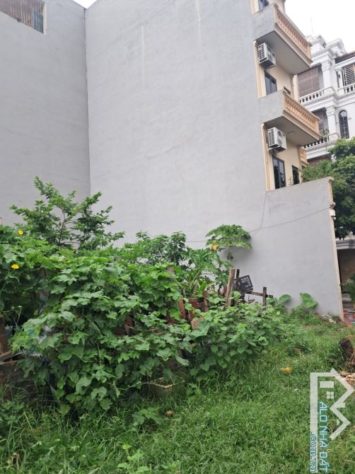 Đấu giá đông mỹ,Nam Phù phân lô vỉa hè giá chỉ 9,8ty - 1