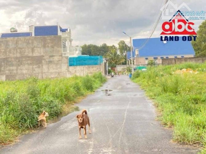 CC004 BÁN ĐẤT MẶT TIỀN ĐƯỜNG LỚN – BÌNH MINH, TRẢNG BOM  📍 Vị trí: Xã Bình Minh, Trảng Bo - 1