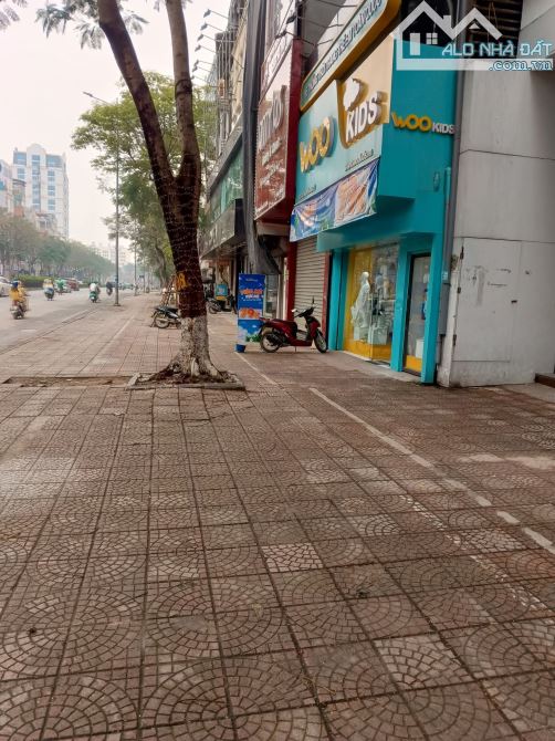 Buiding mặt phố Nguyễn Văn Cừ – DT 204m² – 8 tầng – MT 9m – Giá 131 tỷ DÒNG TIỀN 3 TỶ/NĂM - 1