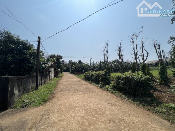 GẦN 1000m2 ĐẤT BIỂN CỬA TÙNG - QUẢNG TRỊ, CÁCH SÂN BAY 20p, - 1