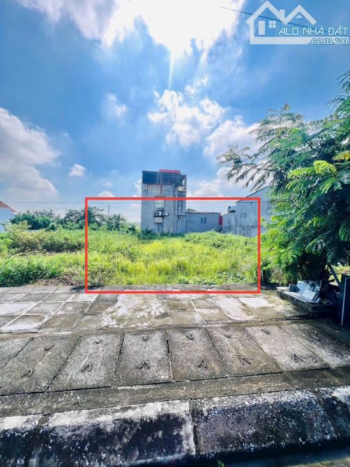Bán đất 133,2m² thổ cư tại Phân lô Vườn Ổi - Lâm Động - Thủy Nguyên – Hải Phòng - 1