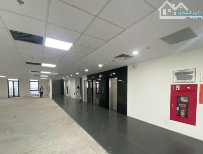 Mặt phố Đào Tấn hoa hậu Ba Đình, tòa nhà văn phòng siêu đẹp 186m2, 6 tầng, mt 7m, 122 tỷ - 1