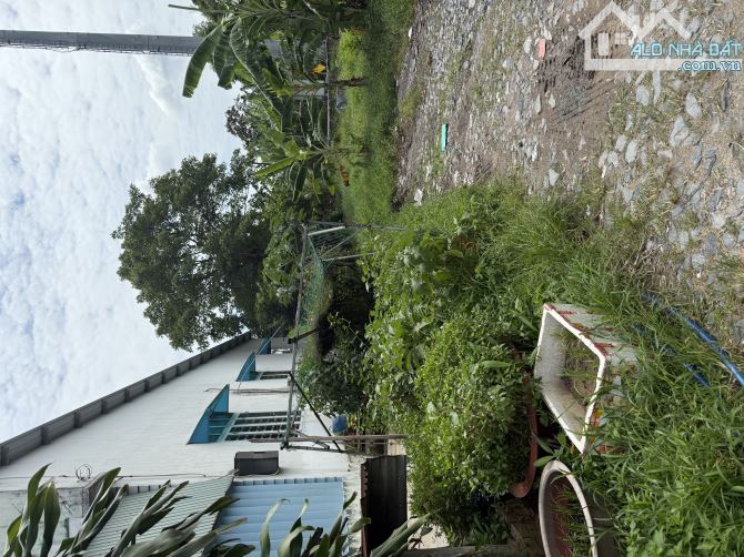 bán đất chính chủ , 125m khu vực bình chuẩn, thuận an bình dương - 1