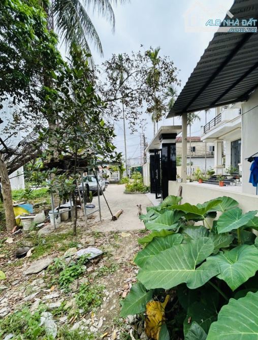 Bán đất thành phố giá nông thôn, tiện phân lô và cây trọ. - 1