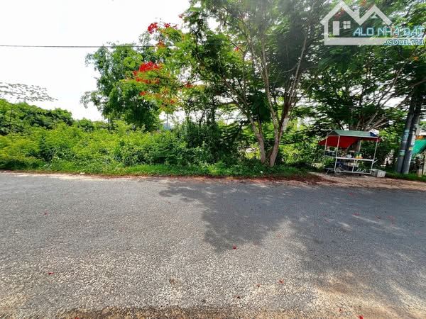 Bán đất Hàm Hiệp 2 mặt tiền nhựa gần ủy ban xã và gần đường Lê Duẩn - 1