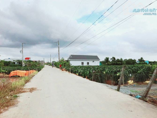 Hàng thơm, 1000m2 đất thổ 20x 50m gần chợ Bình Lãng, 2 tỷ - 1