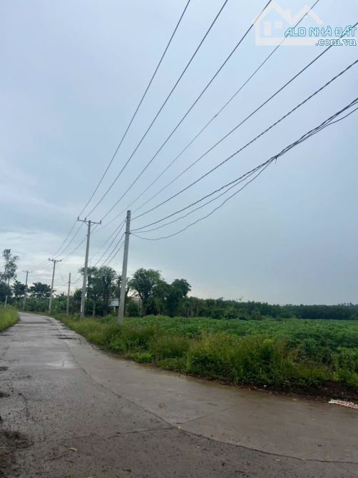 Cực hiếm – Lô đất 1.762m² 2 mặt tiền xã Cẩm Đường, cách sân bay Long Thành chỉ 2,5km - 2