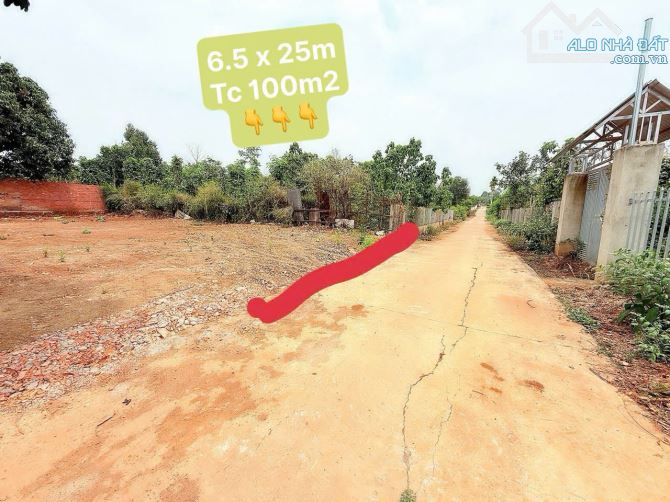 💎Lô TC 6.5x25m khối 15 phường Khánh Xuân( phương mới Thành Nhất) - 2