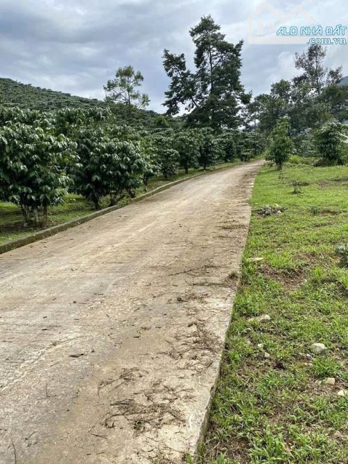 Bán nhà vườn tại Đồng Nai, bán nhà vườn nghỉ dưỡng tại Định Quán, bán nhà vườn - 2