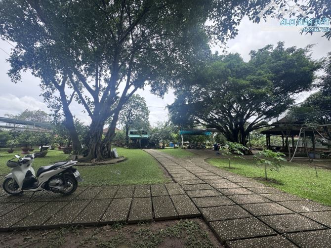 BÁN ĐẤT GÓC 2 MẶT TIỀN – HẺM NHỰA XE TẢI TRÁNH – ĐÔNG THẠNH, HÓC MÔN – 982M² GIÁ 21.5 TỶ - 2