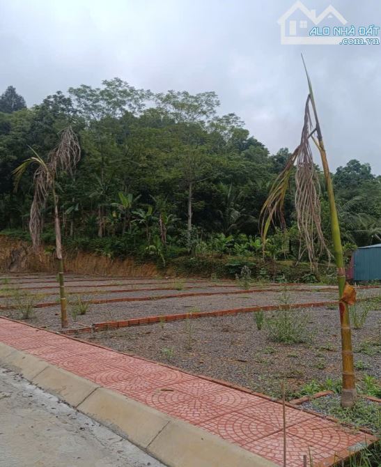 chính chủ cần bán gâp 150m đất tại An Phú Mỹ Đức - 2