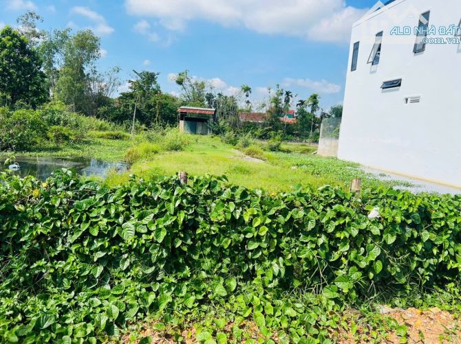 Bán đất mặt tiền đường Võ Khoa, Thuỷ Châu, Hương Thủy, Huế. - 2