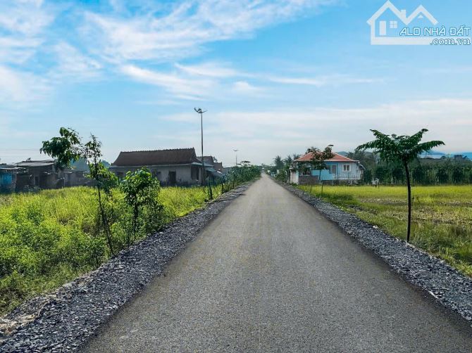 Cần bán gấp lô đất 100m2 giá 650 triệu đường Lê Thị Vui, Phước Hiệp, Củ Chi - 2