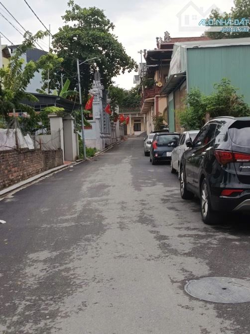 Siêu Phẩm Đất Đài Bi, xã Đông Anh, vài Buớc Ra Bìa Làng Ô Tô Tránh - 2