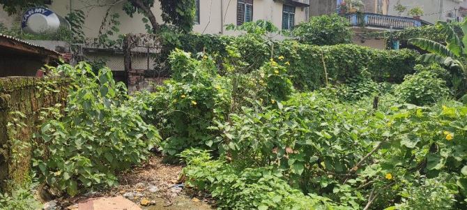 🚗 DIỆN TÍCH TO – Ô TÔ DỪNG ĐỖ TẠI CỔNG – CHỢ TẠI CỬA NHÀ – SỔ CẤT KÉT 🏡 - 2