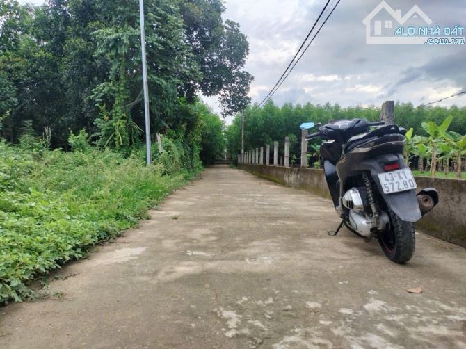 🔥 CHÀO BÁN LÔ ĐẤT ĐẸP – GIÁ CHỈ 1 TỶ X Đường ô tô thông thoáng – Xã Bà Nà, Hòa Nhon - 2