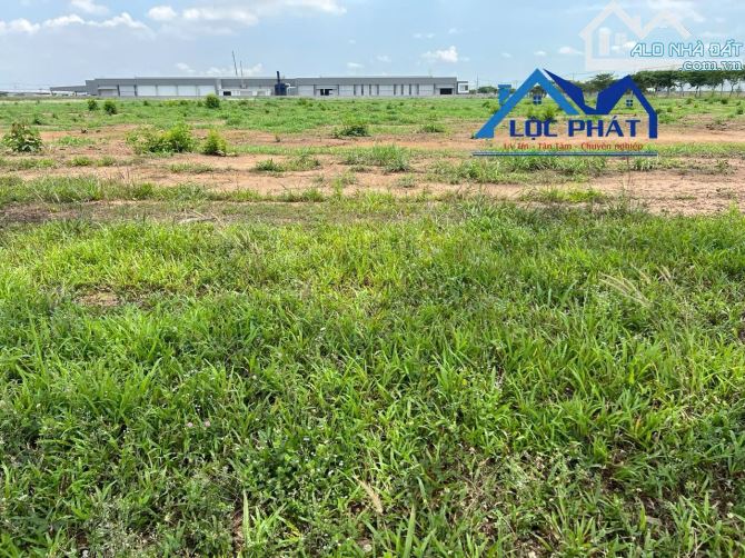 Bán đất 3ha KCN Giang Điền - Đồng Nai giá tốt 185usd/m2 - 2