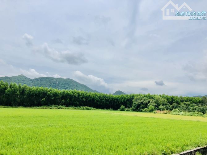 Góc 2 mặt tiền-KHU ĐỒNG GIÓ-HỒ SỞ BÔNG-BIỂN PHƯỚC HẢI-dt:174m2-6,8mx26m-85 thổ cư-view đẹp - 2