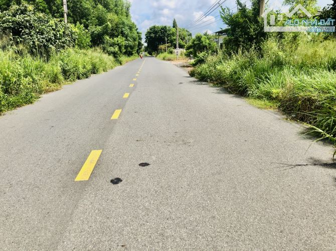 Trục chính ngay trường học trạm y tế-cách tỉnh lộ 44b 500m-dt:1000m2-20mx50m-100 thổ cư - 2