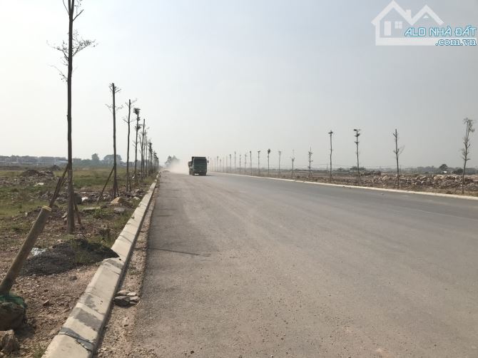 Chuyển nhượng  10.000m2 Cụm công nghiệp Bắc Ninh (Bắc Giang cũ) - 2