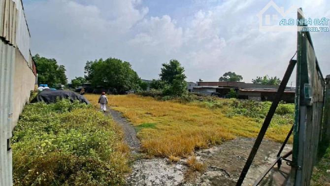 Bán 1000m đất Xuân tHới Sơn, Hóc Môn, hơn 10 tỷ - 2