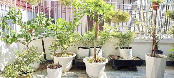 ĐỒNG MAI HÀ ĐÔNG - CHÍNH CHỦ CẦN BÁN NHÀ GẤP . DT 34M2 5 TẦNG FULL NỘI THẤT. cHỈ 4TY12 - 2