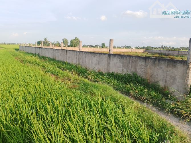 CHỦ GIẢM NGAY 💥 200TRIỆU 💥ĐẤT VƯỜN 970m² TIẾP GIÁP MẶT TIỀN ĐƯỜNG - 1