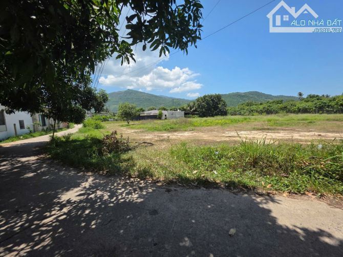 Bán gấp lô đất đẹp 3.033,4m² full thổ cư tại Cam Lâm, Khánh Hòa Giá tốt cho nhà đầu tư - 2